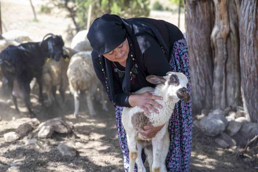 ’hadi Gel Köyümüze Destek Vereli’ Projesi 5. Yılında