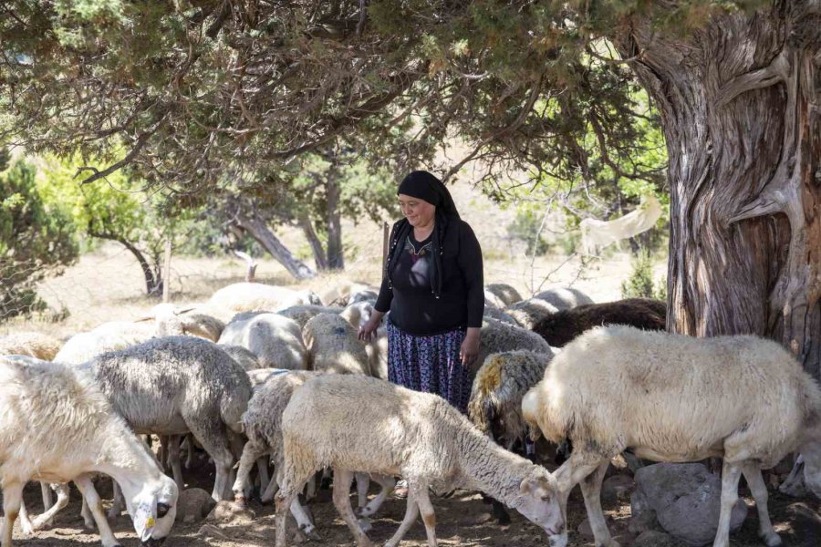 ’hadi Gel Köyümüze Destek Vereli’ Projesi 5. Yılında