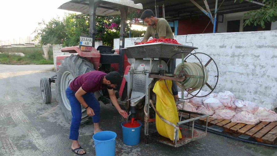 Mersin’de Biber Salçası Üretimi Başladı