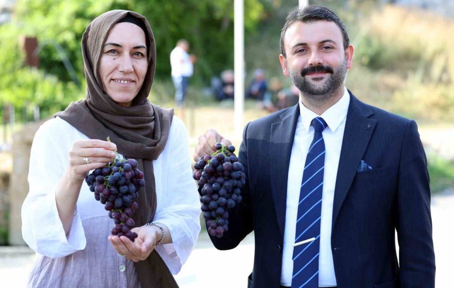 Akdeniz Belediyesi’nden Esenli Üzüm Şenliği’ne Davet