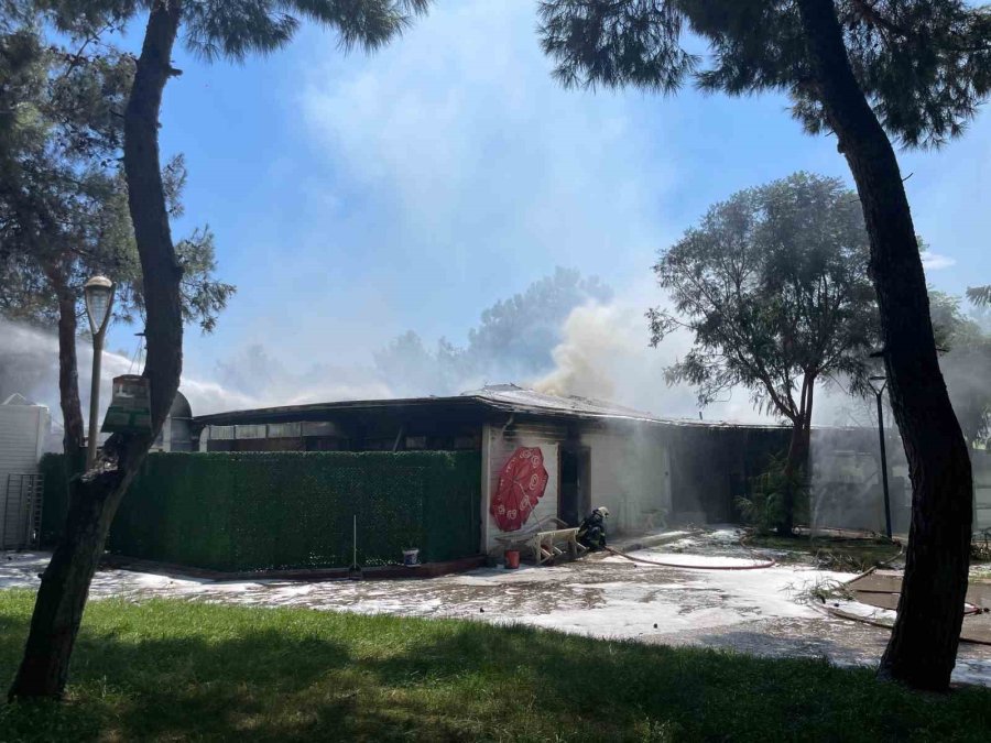 Ormanlık Alandaki İşletmede Çıkan Yangın Kontrol Altına Alındı