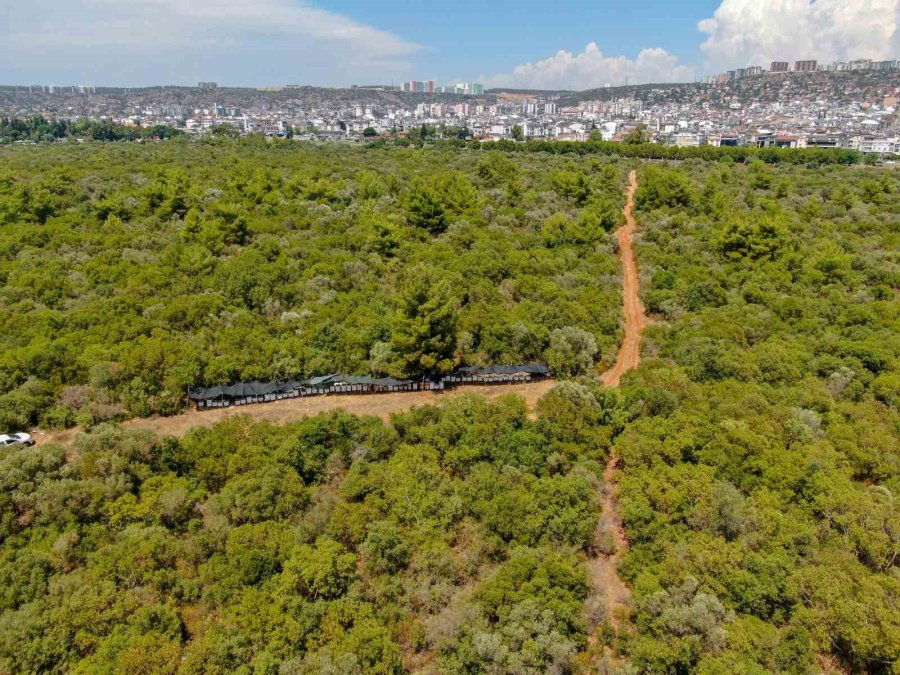 Oğlunun Ölümünün Ardından Dedesinden Kalma Arıcılık Mesleğiyle Hayata Tutundu