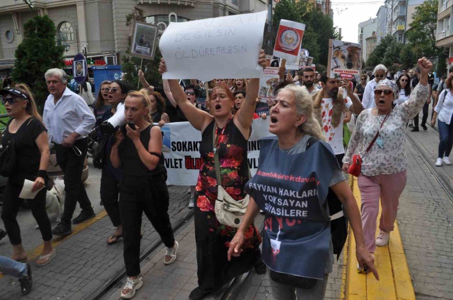 Hayvanseverler "sakat Kalan Çocuklar İçin Neden Ses Çıkartmıyorsunuz?" Diyen Adama Saldırmaya Kalktı