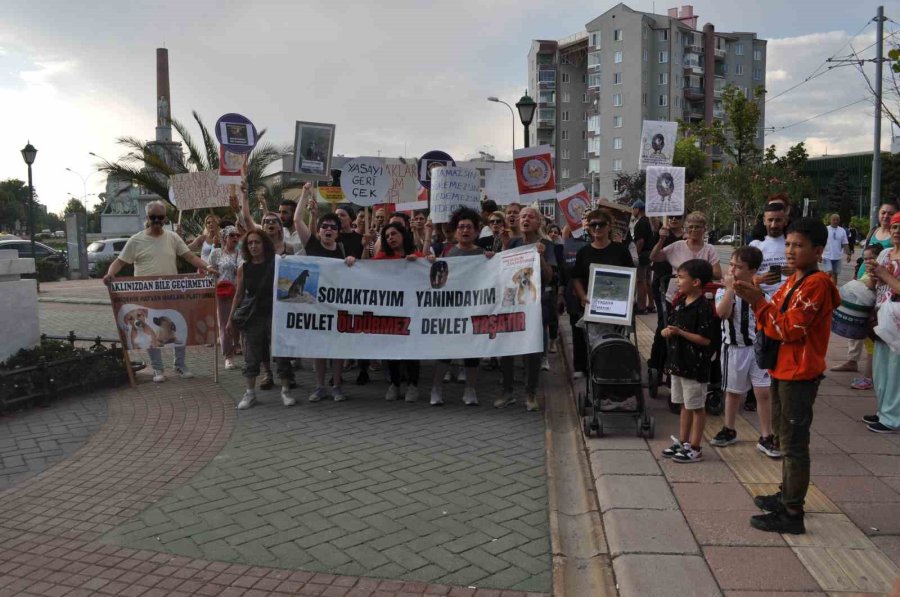 Hayvanseverler "sakat Kalan Çocuklar İçin Neden Ses Çıkartmıyorsunuz?" Diyen Adama Saldırmaya Kalktı