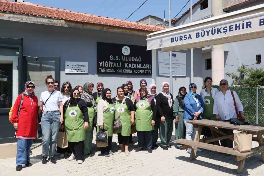 ’yukarı Sakarya Havzası’nda Arazi Tahribatını Dengeleme Projesi’ Devam Ediyor