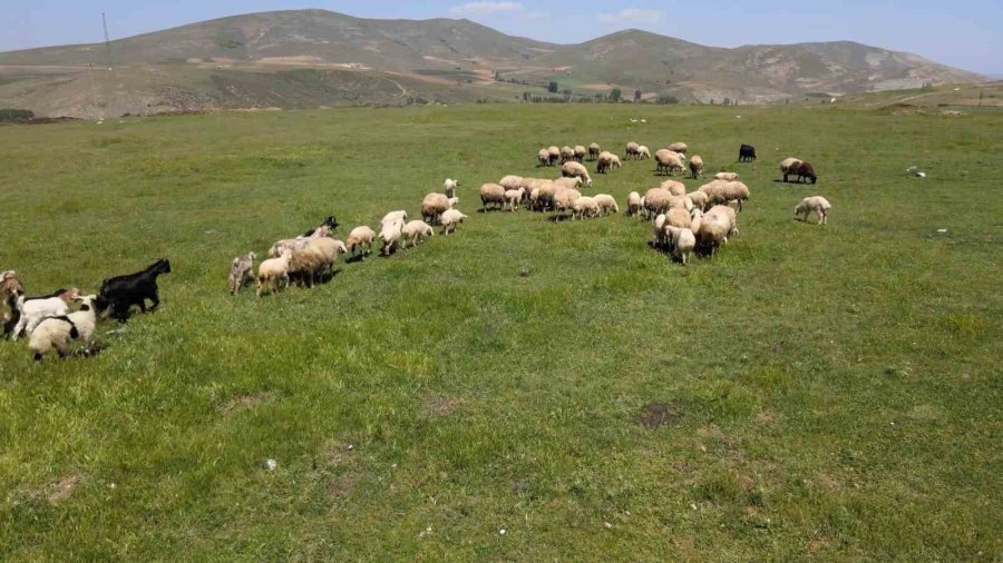 Uzman Eller Projesi İle Genç Yaşta Kendi İşini Kurdu