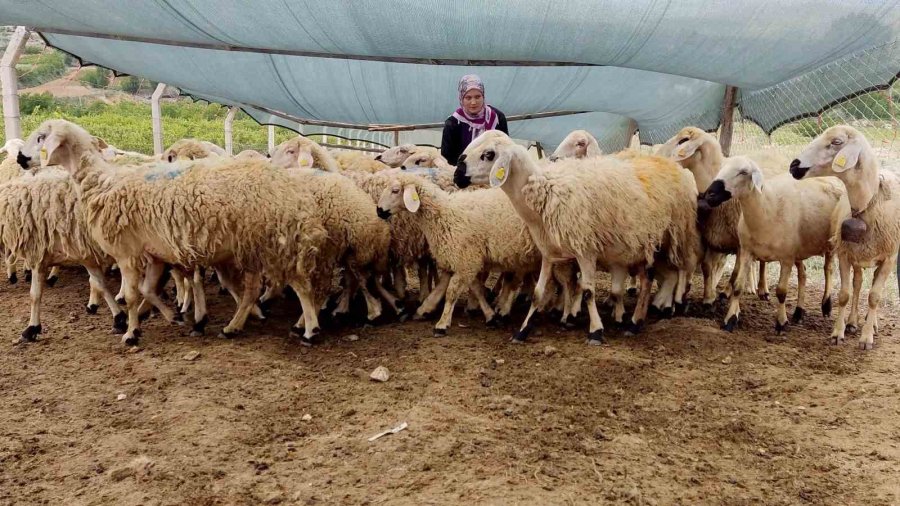 Uzman Eller Projesi İle Genç Yaşta Kendi İşini Kurdu