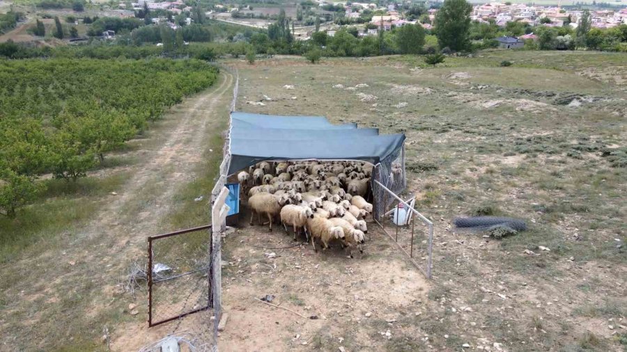 Uzman Eller Projesi İle Genç Yaşta Kendi İşini Kurdu