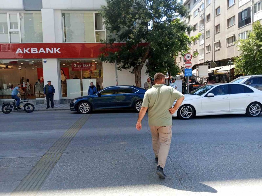 Uzayan Ağaç Dalları Trafik Lambasının Önünü Kapattı