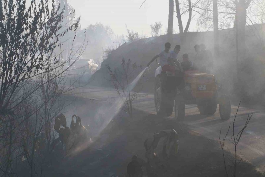 Antalya’da Çıkan Yangın Seraları Ve Ormanlık Alanı Etkiledi