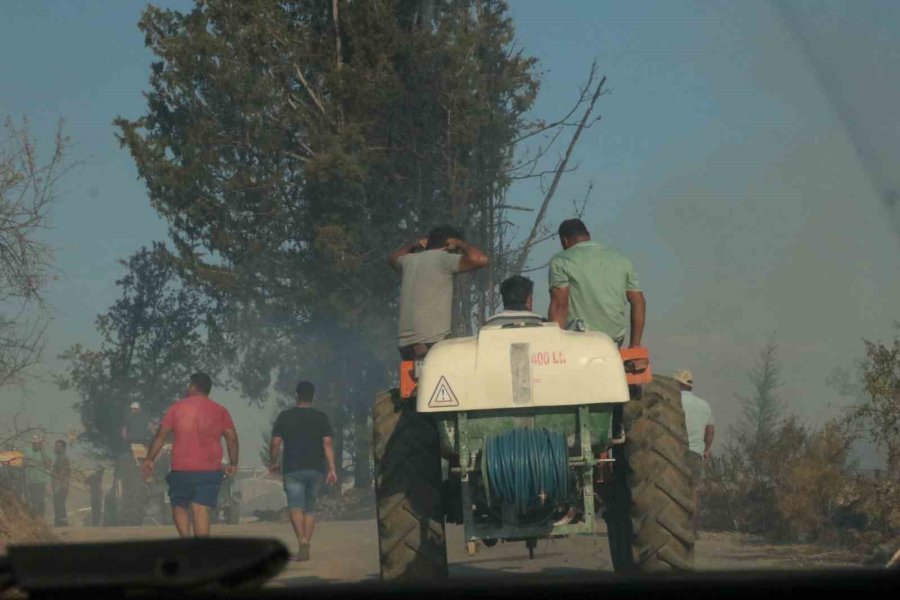 Antalya’da Çıkan Yangın Seraları Ve Ormanlık Alanı Etkiledi