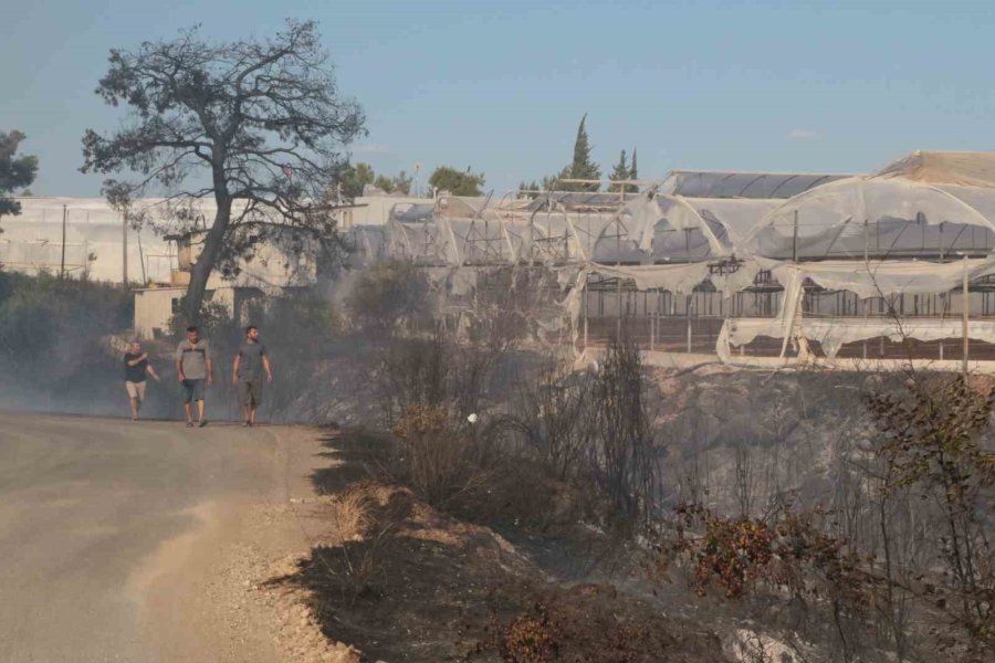 Antalya’da Çıkan Yangın Seraları Ve Ormanlık Alanı Etkiledi