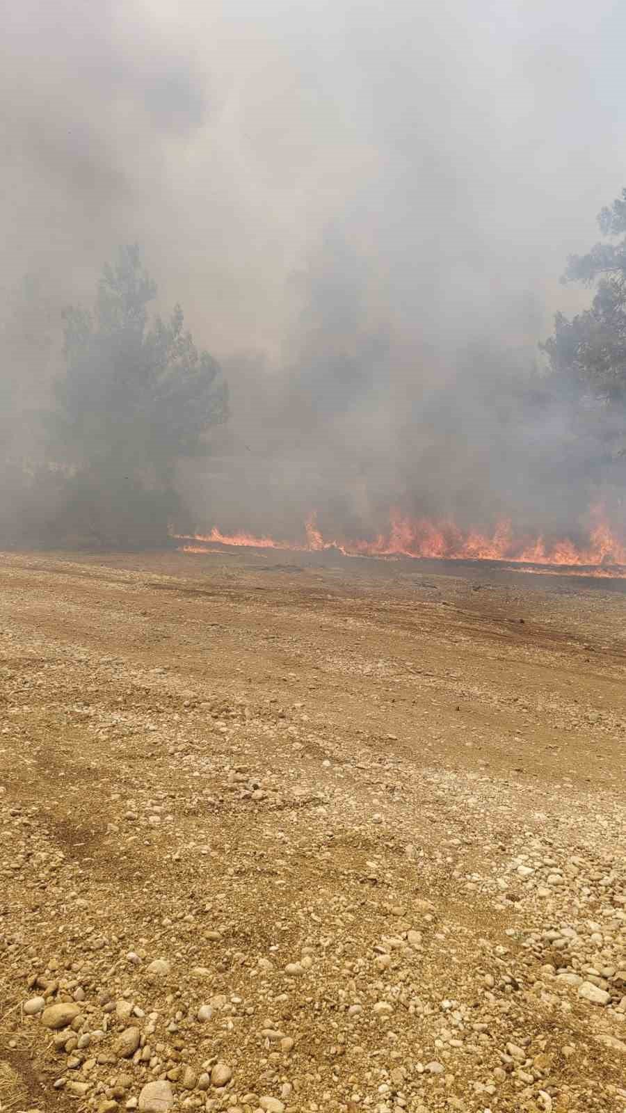 Antalya’da Orman Yangını: Havadan Ve Karadan Müdahale Devam Ediyor