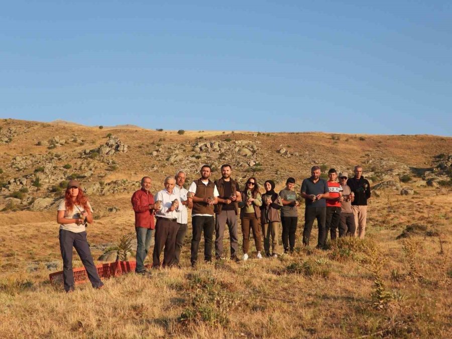 Sivrihisar’da 600 Adet Kınalı Kekliğin Doğaya Salımı Gerçekleştirildi