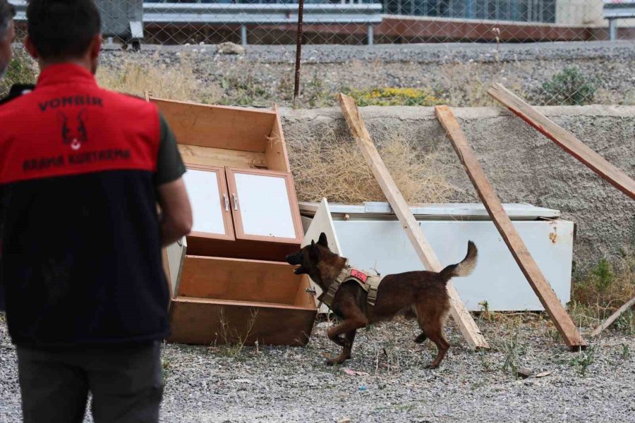 "hassas Burunlar" Zorlu Eğitimlerle Afetlere Hazırlanıyor