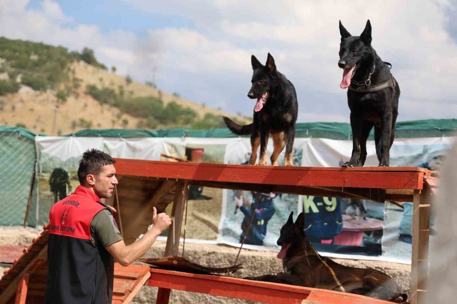 "hassas Burunlar" Zorlu Eğitimlerle Afetlere Hazırlanıyor