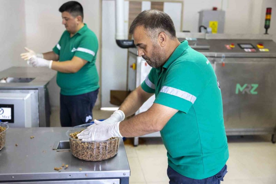 Mersin’de Yemek Atıkları Mamaya Dönüştürülüyor