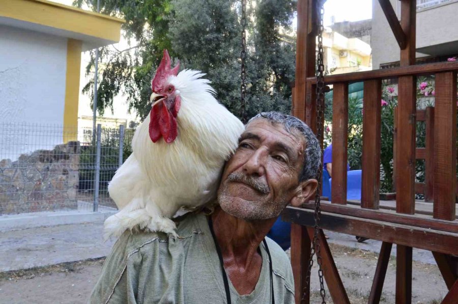 Gören Dönüp Bir Daha Bakıyor