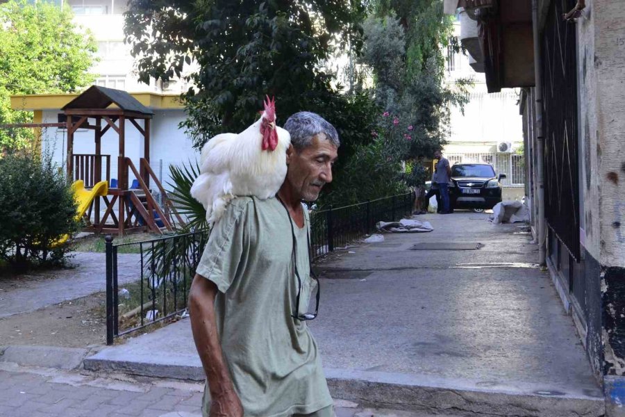 Gören Dönüp Bir Daha Bakıyor