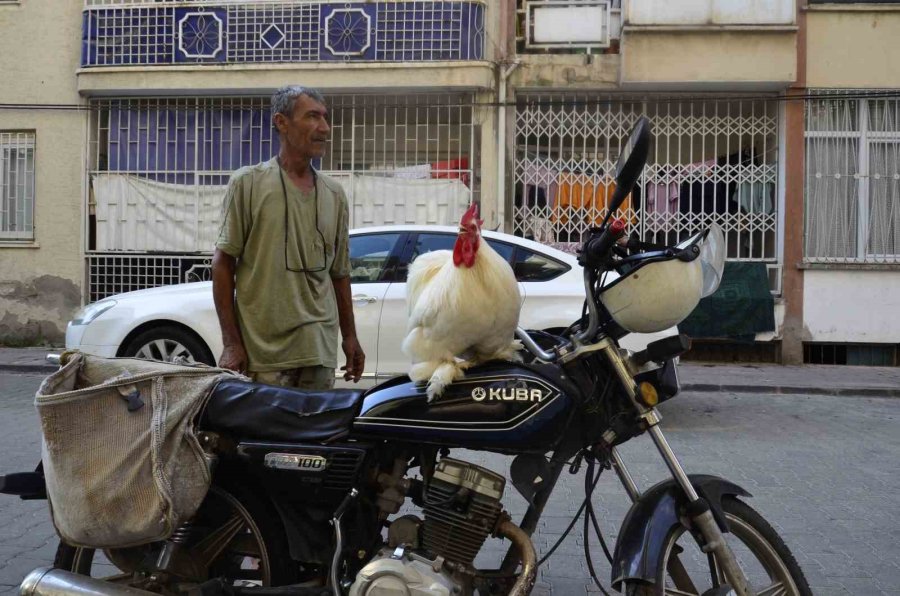 Gören Dönüp Bir Daha Bakıyor