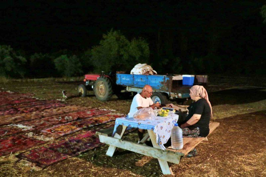 Tarlada Milyonluk Halı Nöbeti: Güneş Batınca Başlıyor, Doğunca Bitiriyorlar