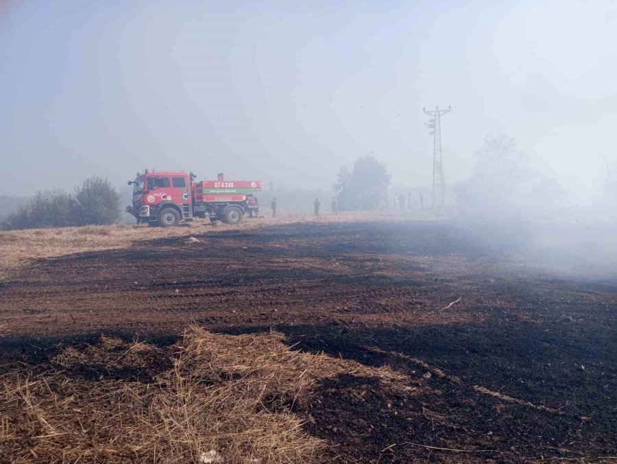 Antalya’da Otluk Alanda Başlayan Yangın Zeytin Ağaçlarına Ve Seraya Sıçradı