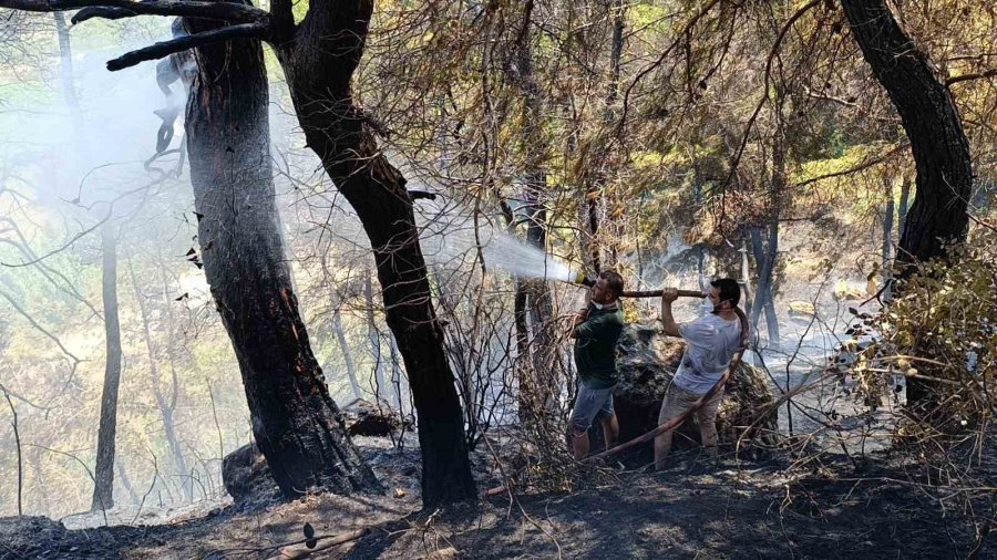 Antalya’da Mezarlık Yangını Ormana Sıçradı, Mahalleliyi Alarma Geçirdi