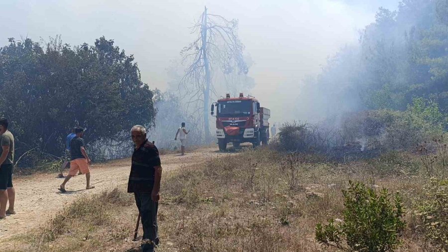 Antalya’da Mezarlık Yangını Ormana Sıçradı, Mahalleliyi Alarma Geçirdi