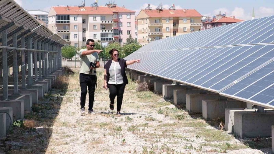 Çevre Dostu Üniversite Kendi Enerjisini Kendi Üretiyor