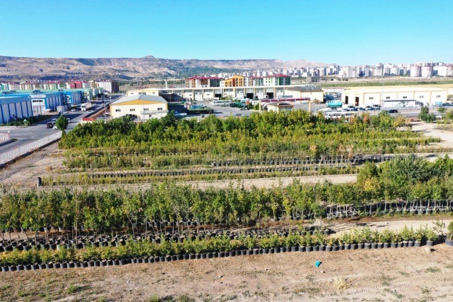 Başkan Çolakbayrakdar: "daha Yeşil Bir Kayseri İçin Çalışıyoruz"