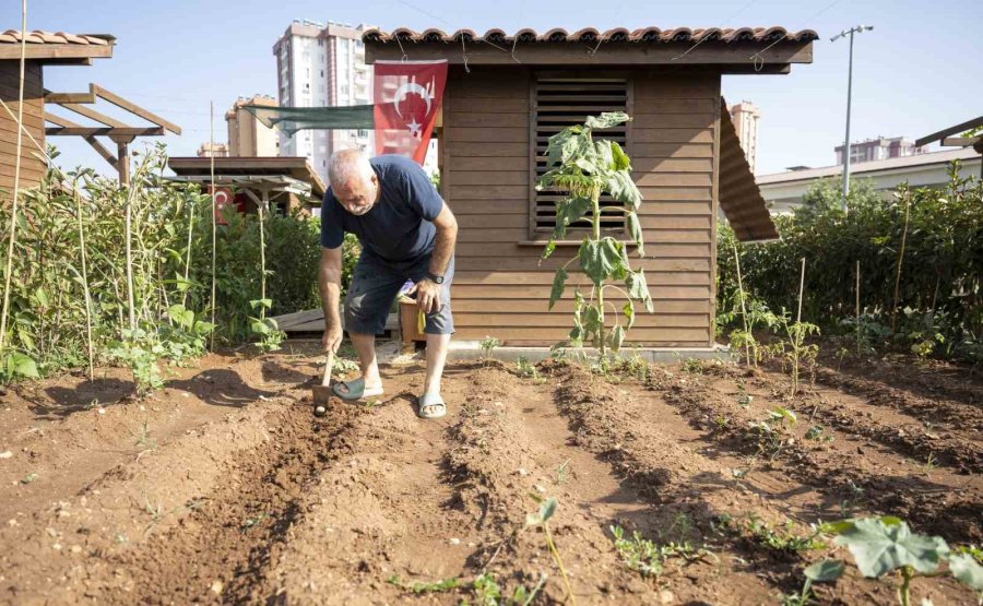 Hobi Parkı, Mersinlilerin Uğrak Yeri Oldu