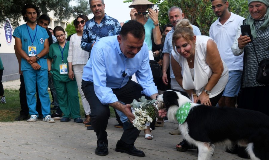 Başkan Özyiğit, Hayvan Hakları Tutum Belgesini İmzaladı