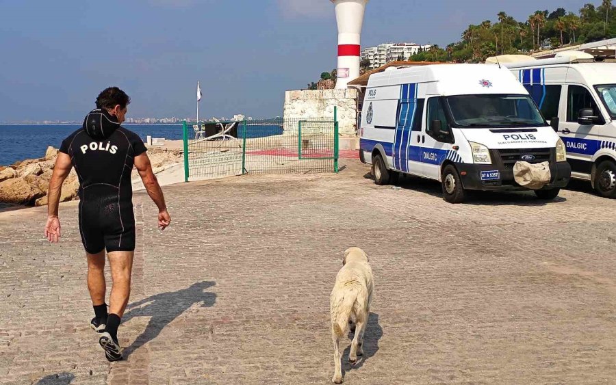 Deniz Polisinden Yürekleri Isıtan Sokak Köpeği Kurtarma Görevi