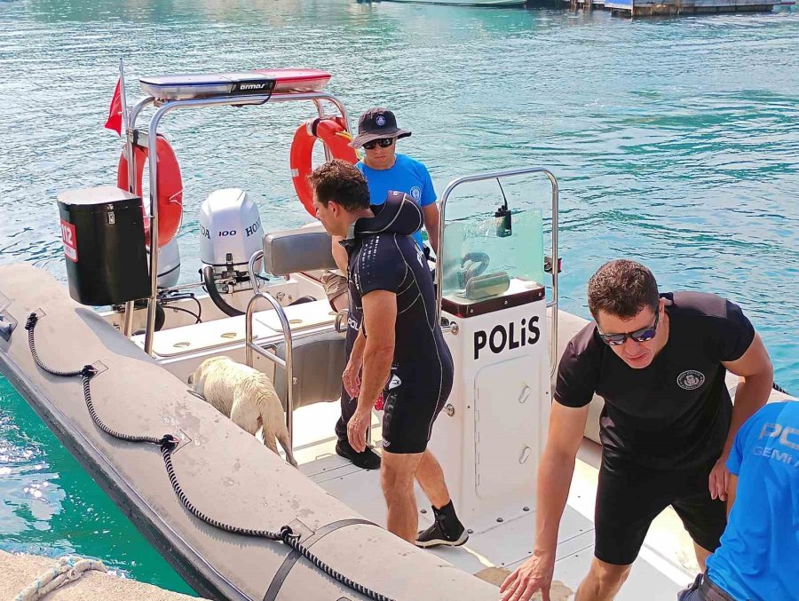 Deniz Polisinden Yürekleri Isıtan Sokak Köpeği Kurtarma Görevi