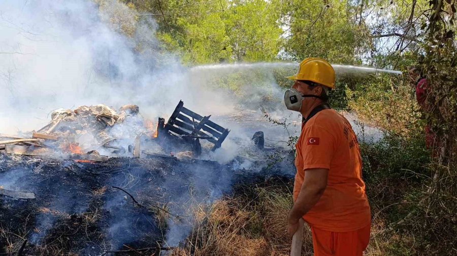 Manavgat’ta 4 Dönüm Kızılçam Ormanı Yandı