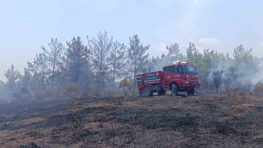 Manavgat’ta 4 Dönüm Kızılçam Ormanı Yandı