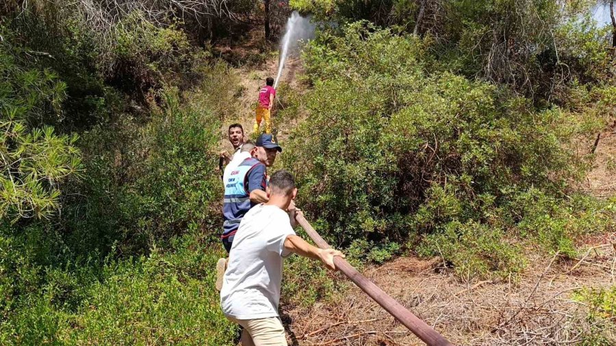 Manavgat’ta 4 Dönüm Kızılçam Ormanı Yandı