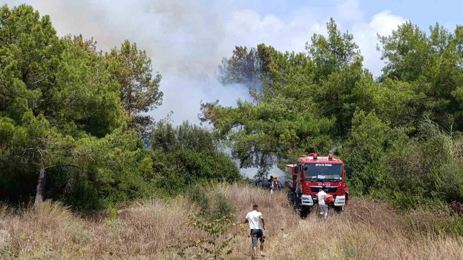 Manavgat’ta 4 Dönüm Kızılçam Ormanı Yandı