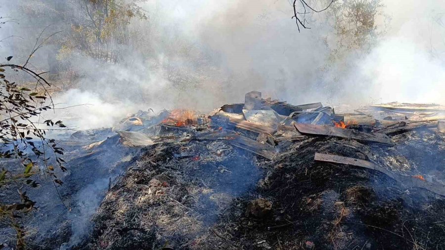 Manavgat’ta 4 Dönüm Kızılçam Ormanı Yandı