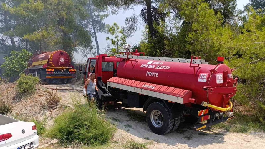 Manavgat’ta 4 Dönüm Kızılçam Ormanı Yandı