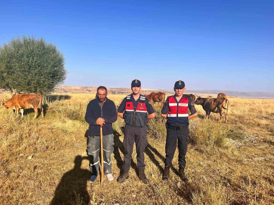 Kaybolan Hayvanları Jandarma Buldu