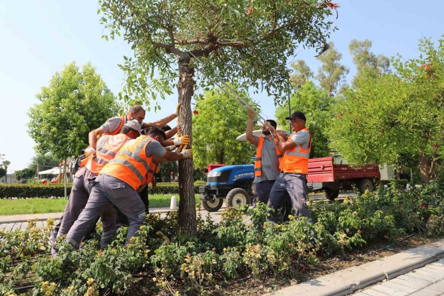 Antalya Büyükşehir’den Fırtınaya Hızlı Müdahale