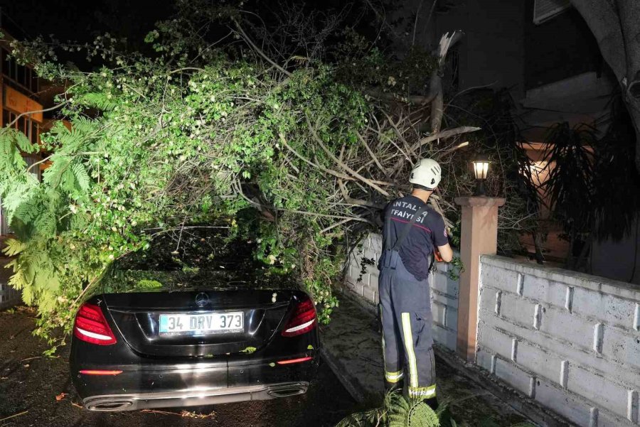 Antalya Büyükşehir’den Fırtınaya Hızlı Müdahale