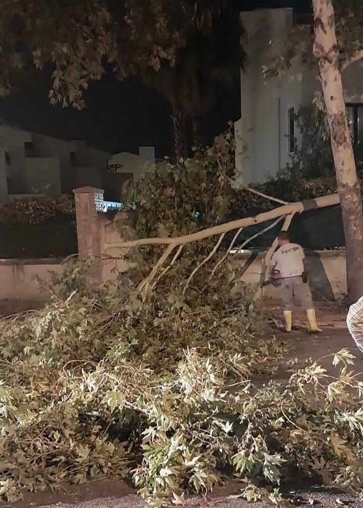 Antalya’da Fırtına Sonrası Gece Boyunca ’devrilen Ağaç’ Mesaisi