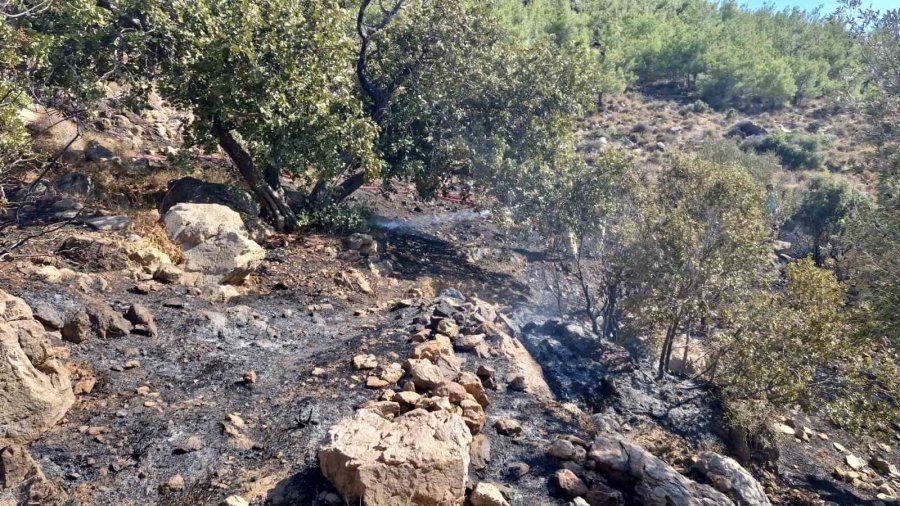 Mersin’de Bahçe Yangını, Ormana Sıçramadan Söndürüldü