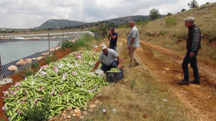 Kabak Üreticisi İhracat İçin Yeni Ülkeler Arıyor