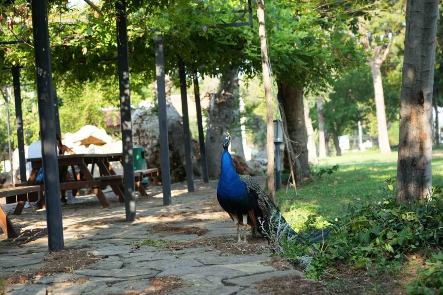 İadesi Sağlanan Tarihi Eserler Ziyaretçi Sayısını Artırdı