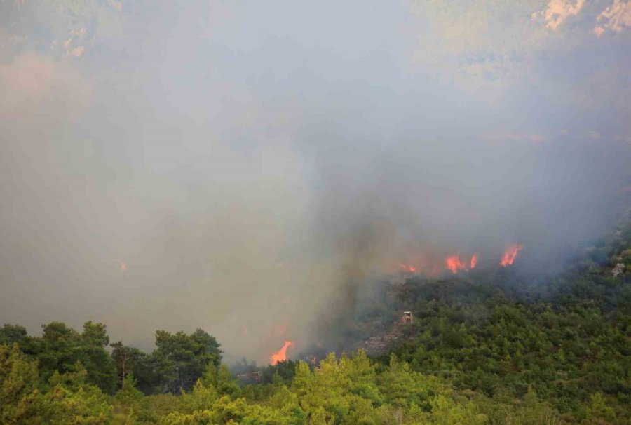 Antalya’daki Orman Yangınında 7 Ev Boşaltıldı