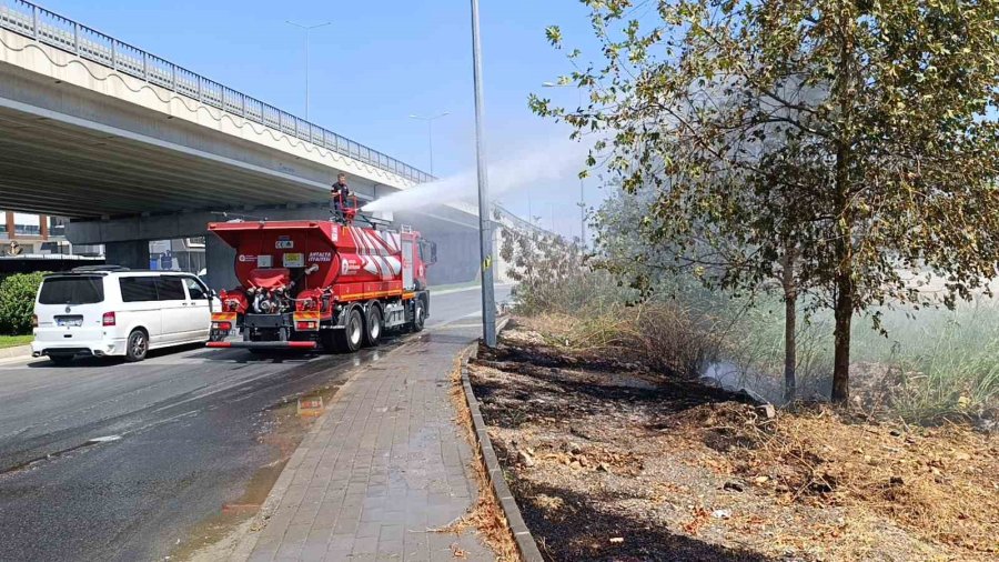 Yol Kenarına Atılan Sigara İzmariti Yangın Çıkardı