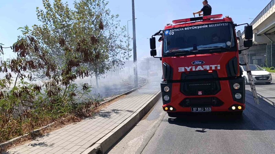 Yol Kenarına Atılan Sigara İzmariti Yangın Çıkardı